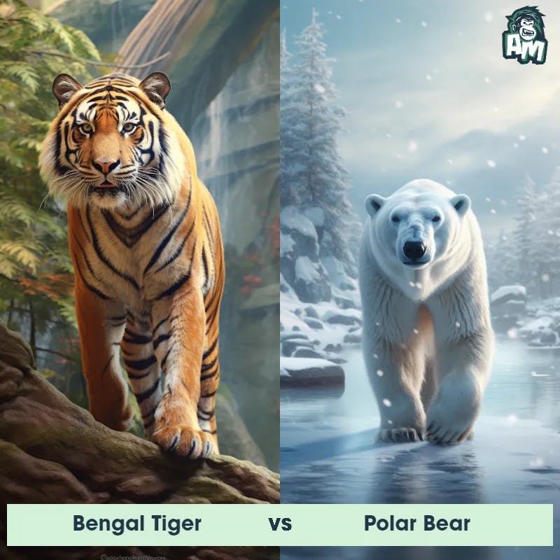 Bengal Tiger vs Polar Bear - Animal Matchup