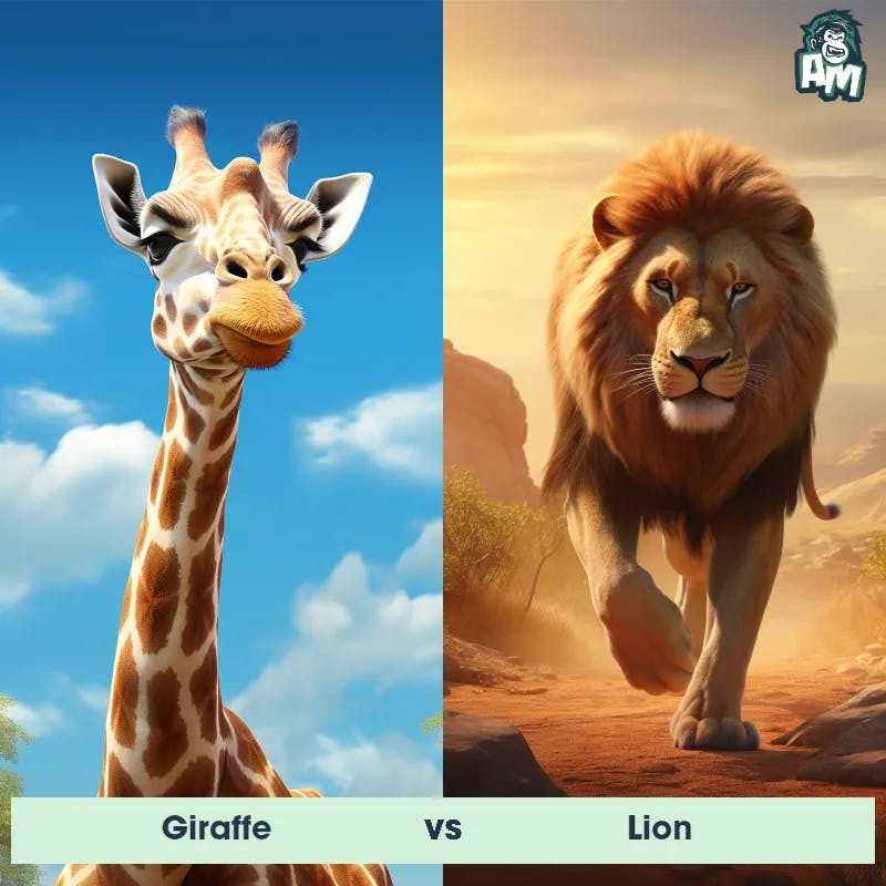 Giraffe vs Lion - Animal Matchup