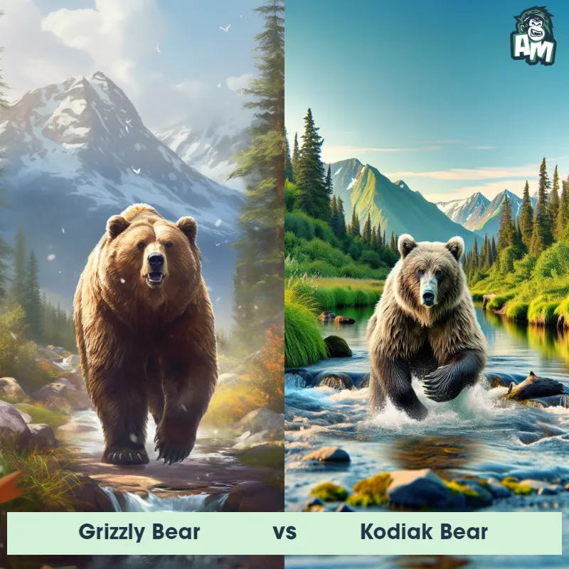 Grizzly Bear vs Kodiak Bear - Animal Matchup