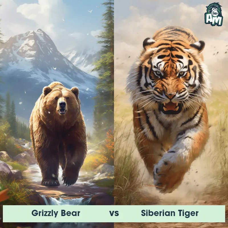 Grizzly Bear vs Siberian Tiger - Animal Matchup