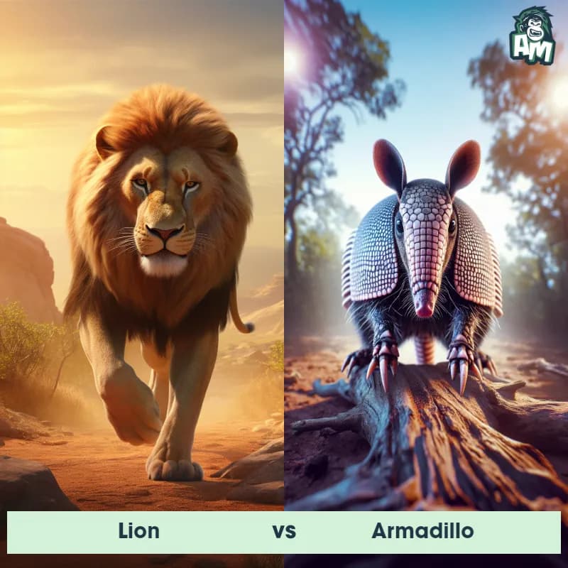 Lion vs Armadillo - Animal Matchup