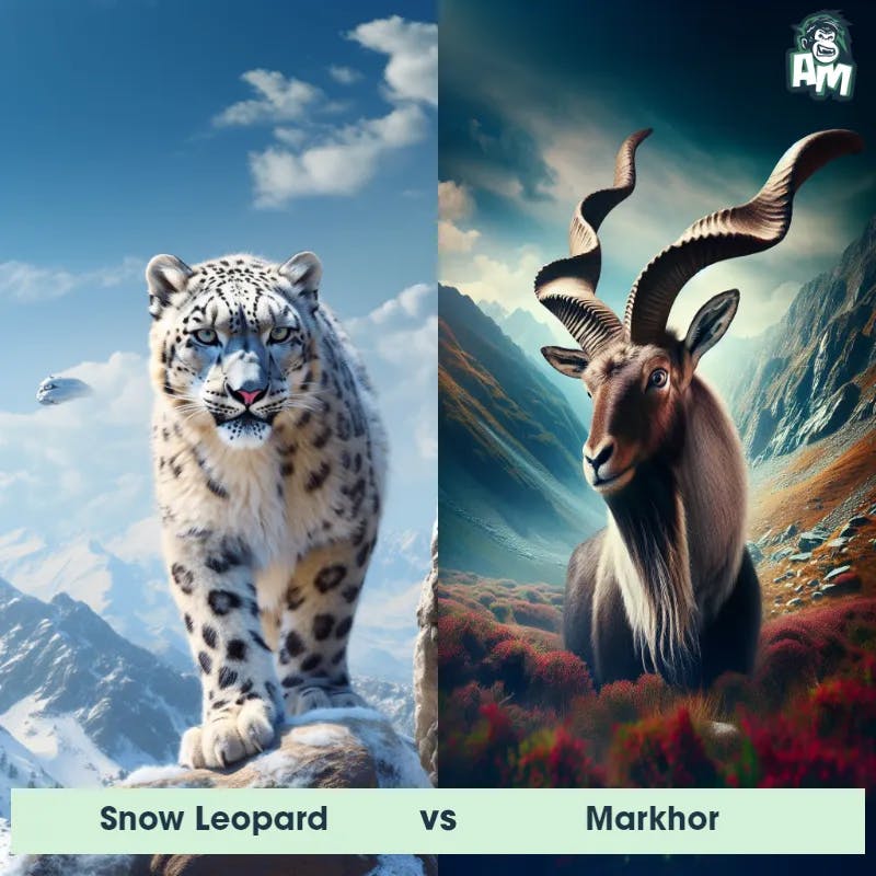 Snow Leopard vs Markhor - Animal Matchup