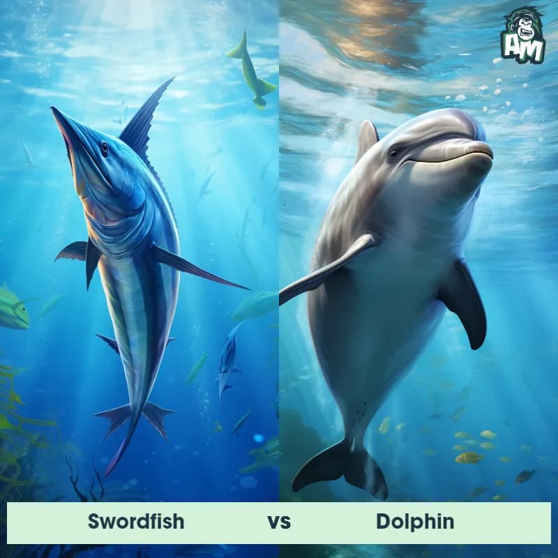 Swordfish vs Dolphin - Animal Matchup