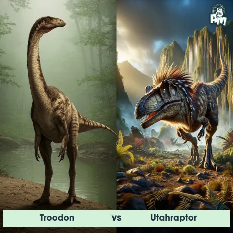 Troodon vs Utahraptor - Animal Matchup