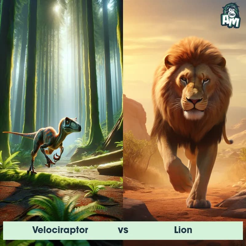 Velociraptor vs Lion - Animal Matchup