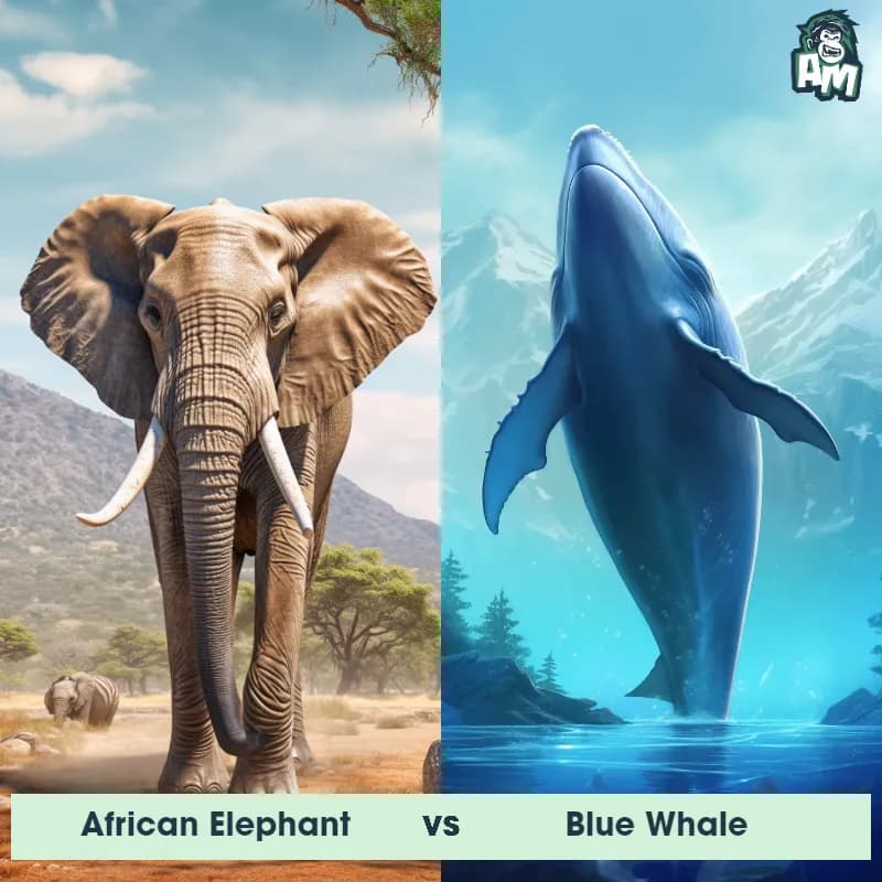 African Elephant vs Blue Whale - Animal Matchup African Elephant vs Blue Whale - Animal Matchup
