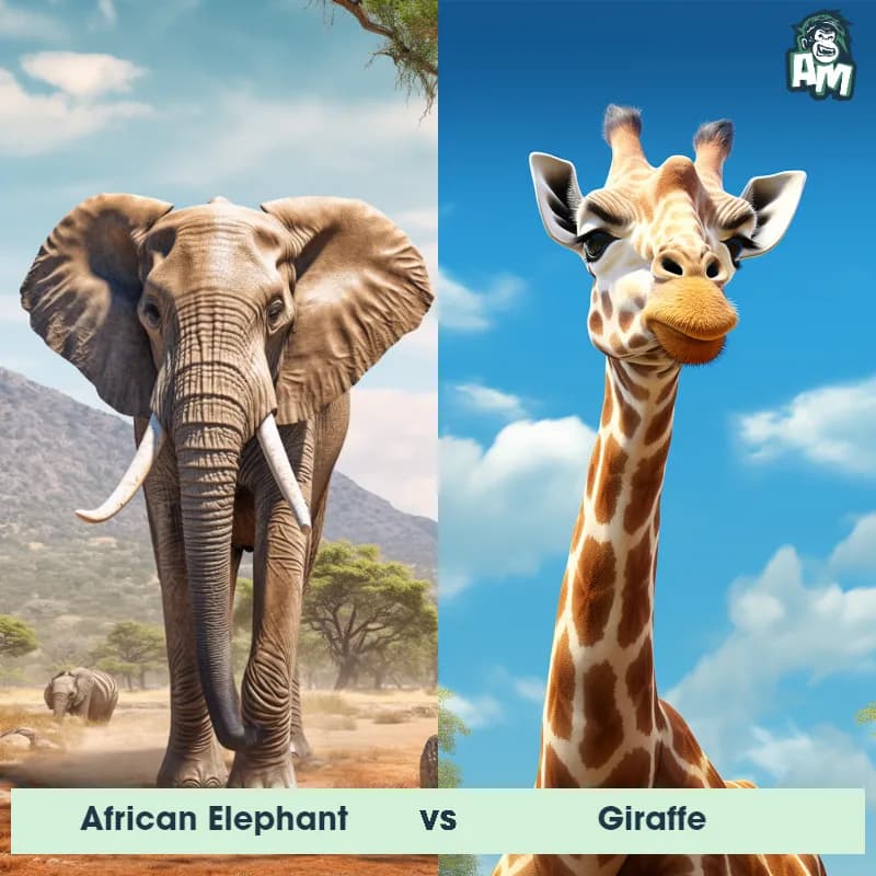 African Elephant vs Giraffe - Animal Matchup African Elephant vs Giraffe - Animal Matchup