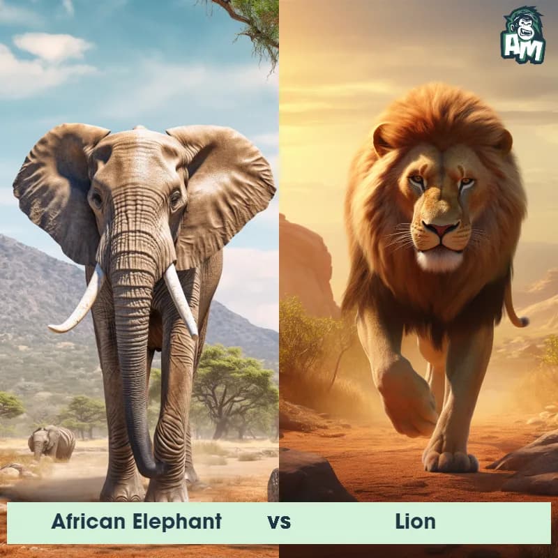 African Elephant vs Lion - Animal Matchup African Elephant vs Lion - Animal Matchup