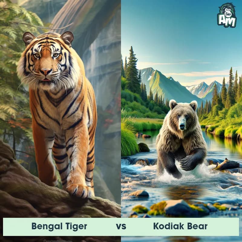 Bengal Tiger vs Kodiak Bear - Animal Matchup Bengal Tiger vs Kodiak Bear - Animal Matchup