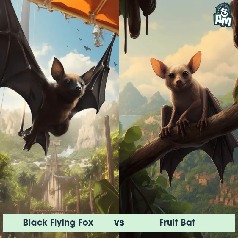 Black Flying Fox vs Fruit Bat - Animal Matchup Black Flying Fox vs Fruit Bat - Animal Matchup