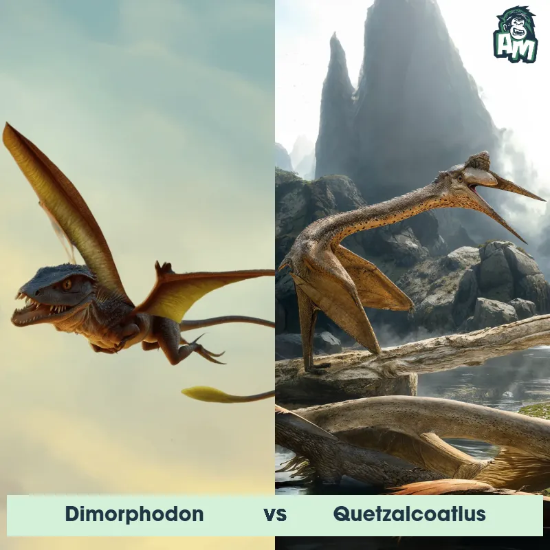 Dimorphodon vs Quetzalcoatlus - Animal Matchup Dimorphodon vs Quetzalcoatlus - Animal Matchup