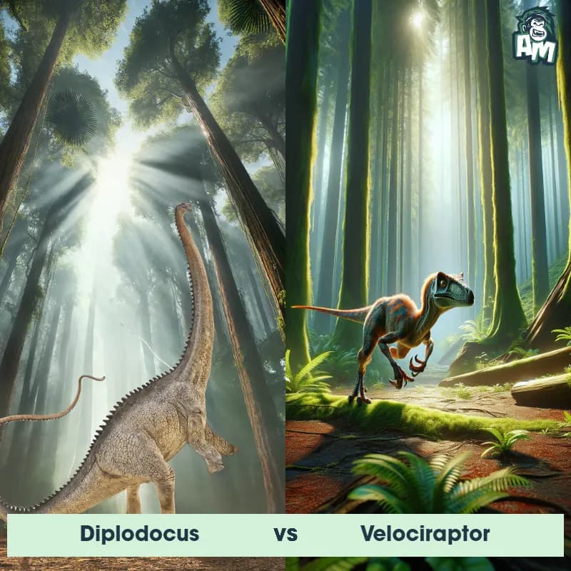 Diplodocus vs Velociraptor - Animal Matchup Diplodocus vs Velociraptor - Animal Matchup