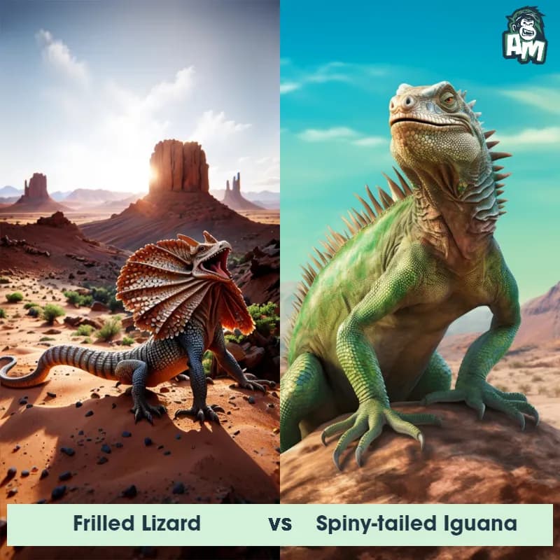 Frilled Lizard vs Spiny-Tailed Iguana - Animal Matchup Frilled Lizard vs Spiny-Tailed Iguana - Animal Matchup
