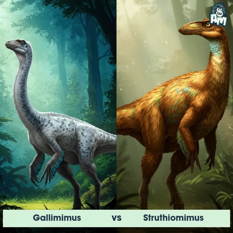 Gallimimus vs Struthiomimus - Animal Matchup Gallimimus vs Struthiomimus - Animal Matchup
