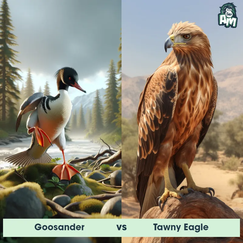 Goosander vs Tawny Eagle - Animal Matchup Goosander vs Tawny Eagle - Animal Matchup