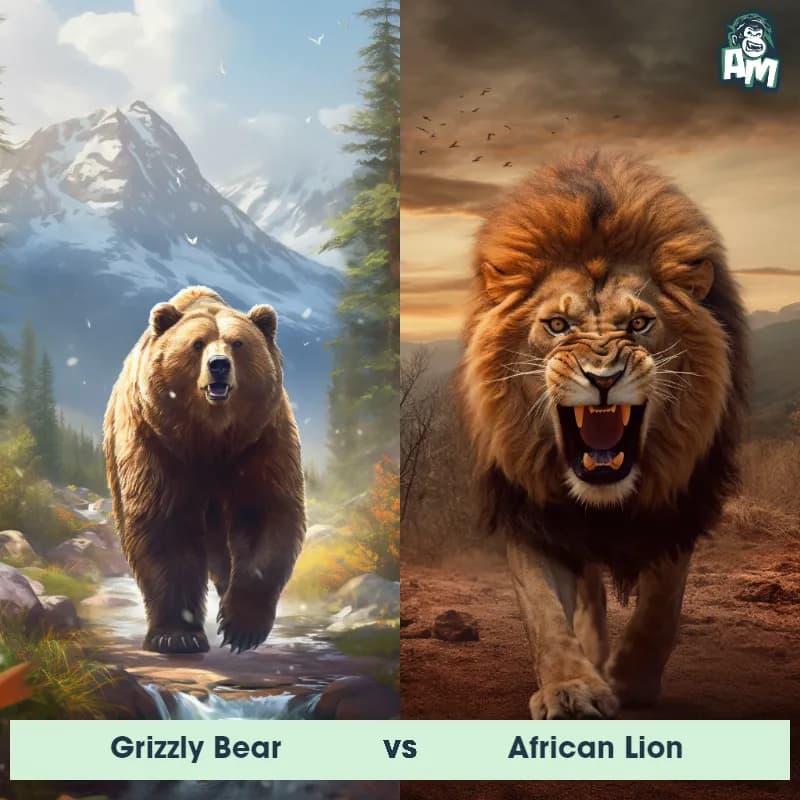 Grizzly Bear vs African Lion - Animal Matchup Grizzly Bear vs African Lion - Animal Matchup