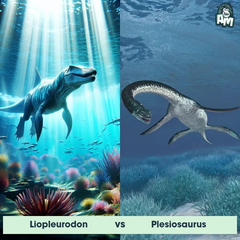 Liopleurodon vs Plesiosaurus - Animal Matchup Liopleurodon vs Plesiosaurus - Animal Matchup