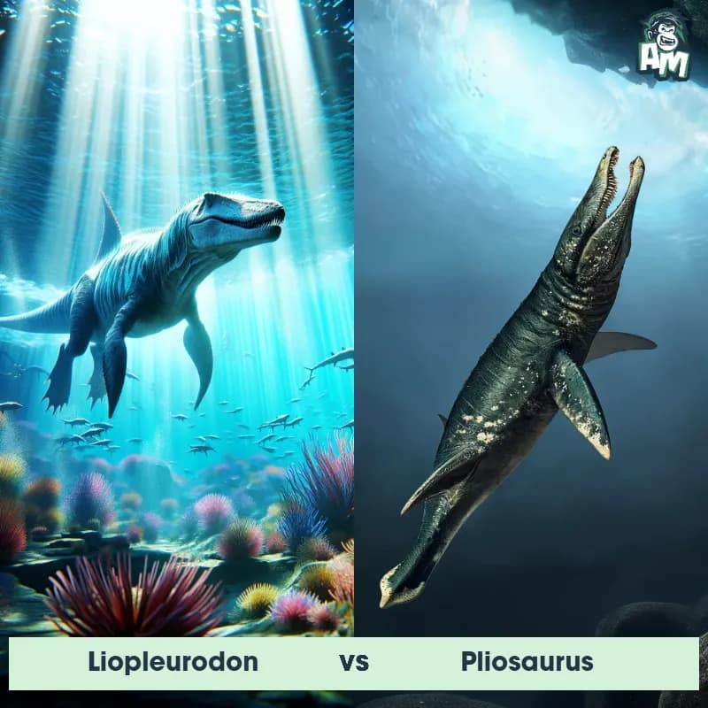 Liopleurodon vs Pliosaurus - Animal Matchup Liopleurodon vs Pliosaurus - Animal Matchup