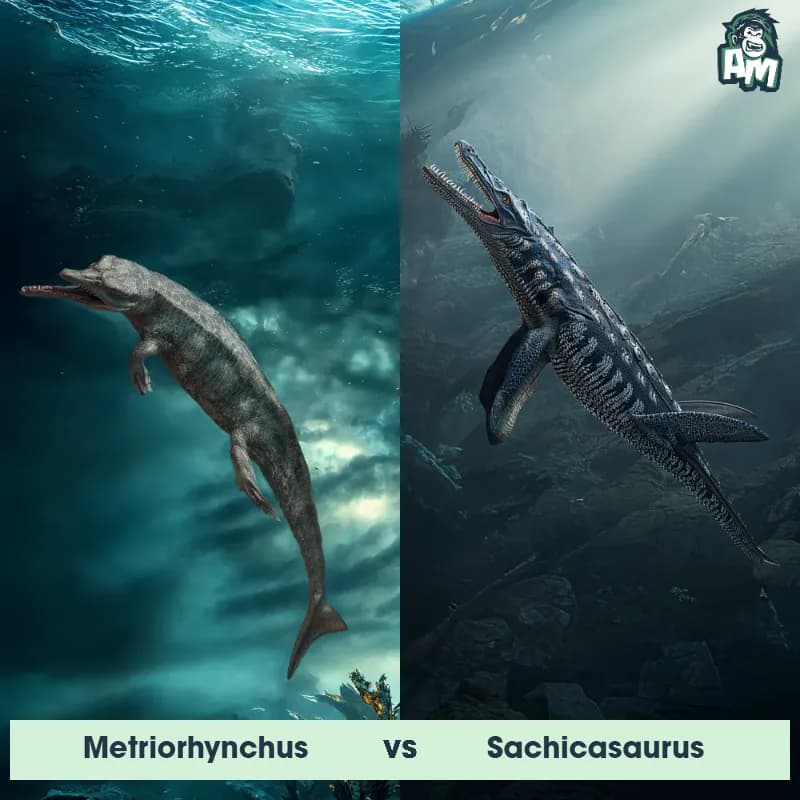 Metriorhynchus vs Sachicasaurus - Animal Matchup Metriorhynchus vs Sachicasaurus - Animal Matchup