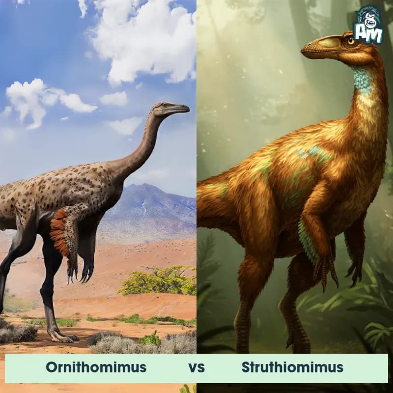 Ornithomimus vs Struthiomimus - Animal Matchup Ornithomimus vs Struthiomimus - Animal Matchup