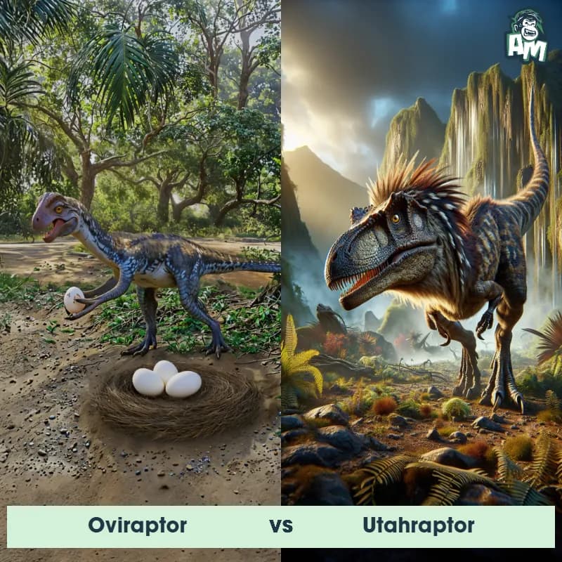 Oviraptor vs Utahraptor - Animal Matchup Oviraptor vs Utahraptor - Animal Matchup