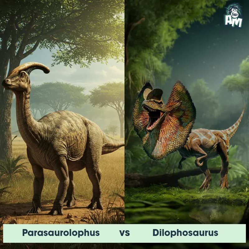 Parasaurolophus vs Dilophosaurus - Animal Matchup Parasaurolophus vs Dilophosaurus - Animal Matchup