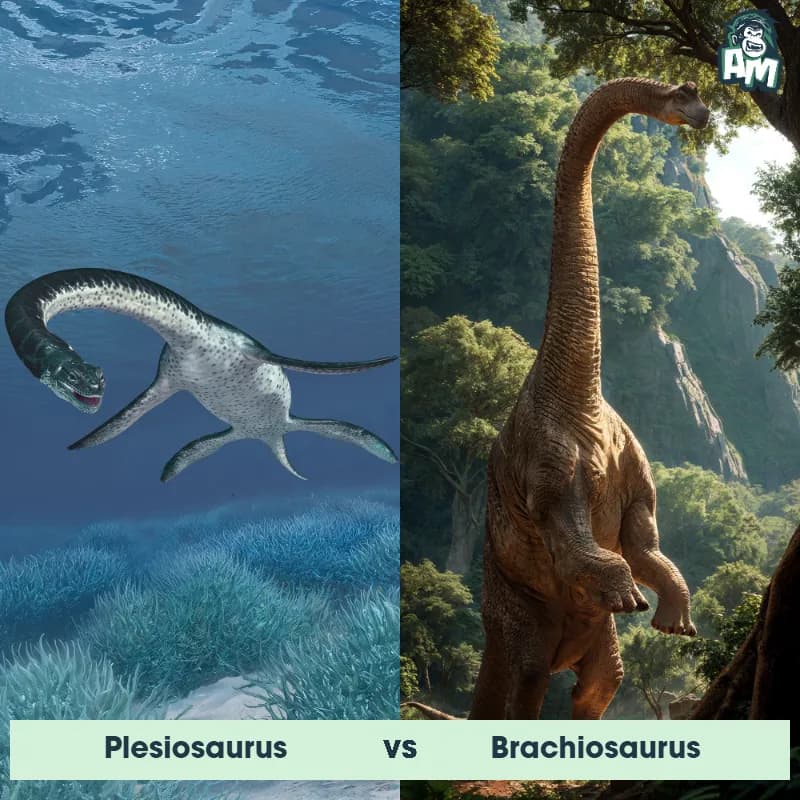Plesiosaurus vs Brachiosaurus - Animal Matchup Plesiosaurus vs Brachiosaurus - Animal Matchup