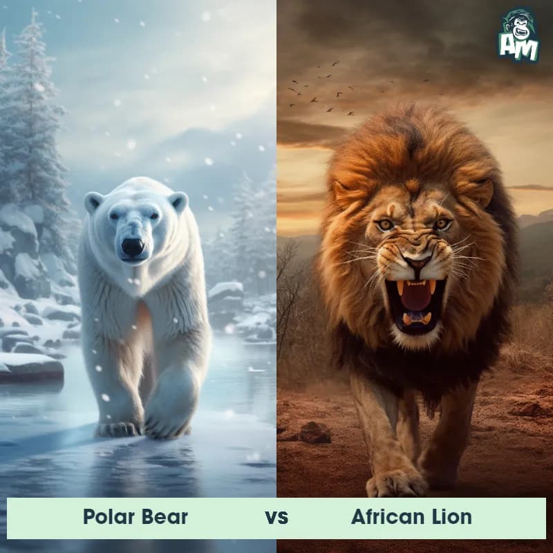 Polar Bear vs African Lion - Animal Matchup Polar Bear vs African Lion - Animal Matchup