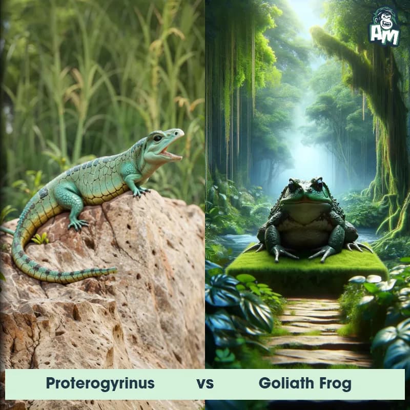 Proterogyrinus vs Goliath Frog - Animal Matchup Proterogyrinus vs Goliath Frog - Animal Matchup