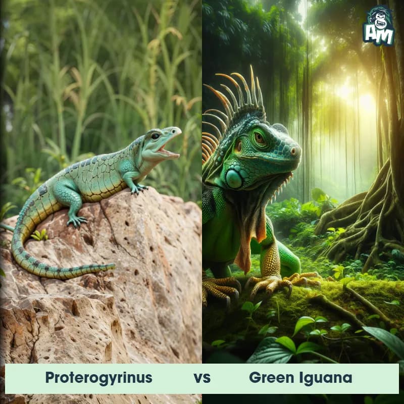 Proterogyrinus vs Green Iguana - Animal Matchup Proterogyrinus vs Green Iguana - Animal Matchup