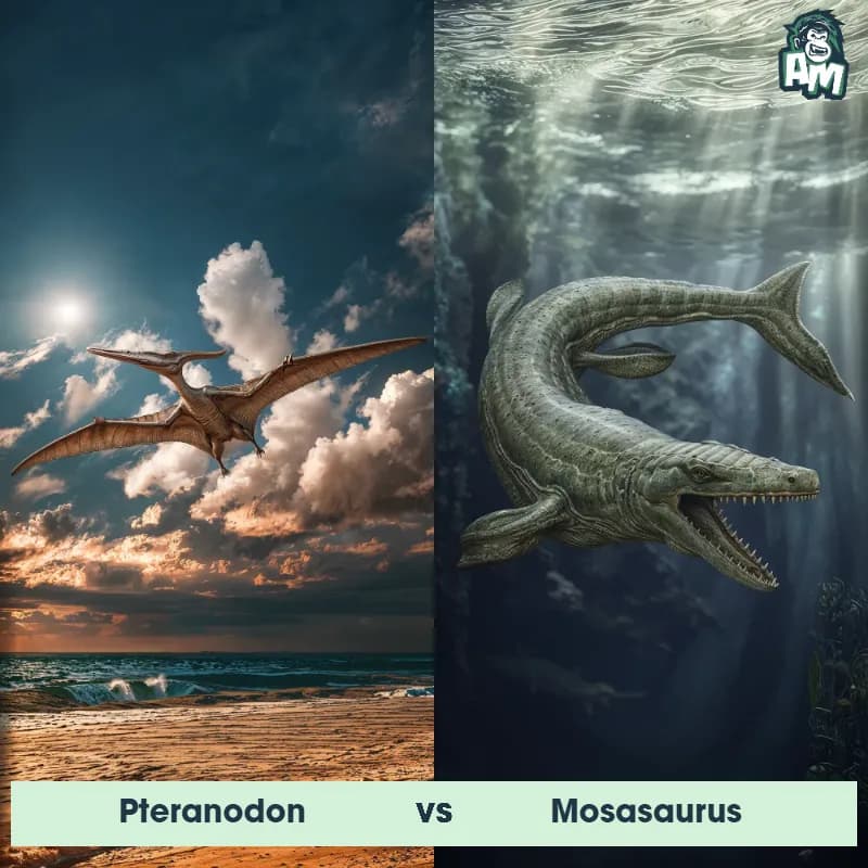 Pteranodon vs Mosasaurus - Animal Matchup Pteranodon vs Mosasaurus - Animal Matchup