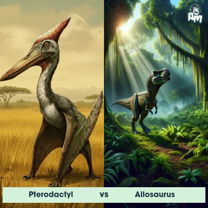 Pterodactyl vs Allosaurus - Animal Matchup Pterodactyl vs Allosaurus - Animal Matchup