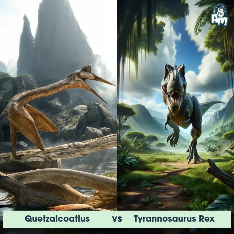 Quetzalcoatlus vs Tyrannosaurus Rex - Animal Matchup Quetzalcoatlus vs Tyrannosaurus Rex - Animal Matchup