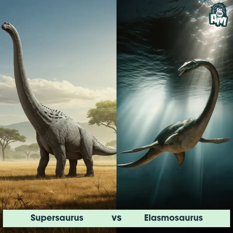 Supersaurus vs Elasmosaurus - Animal Matchup Supersaurus vs Elasmosaurus - Animal Matchup