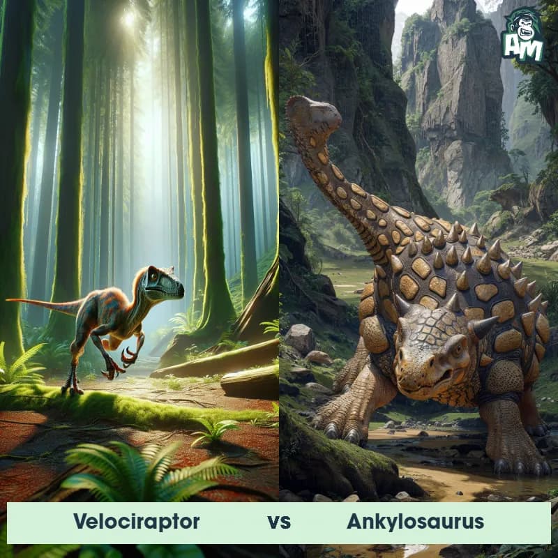 Velociraptor vs Ankylosaurus - Animal Matchup Velociraptor vs Ankylosaurus - Animal Matchup