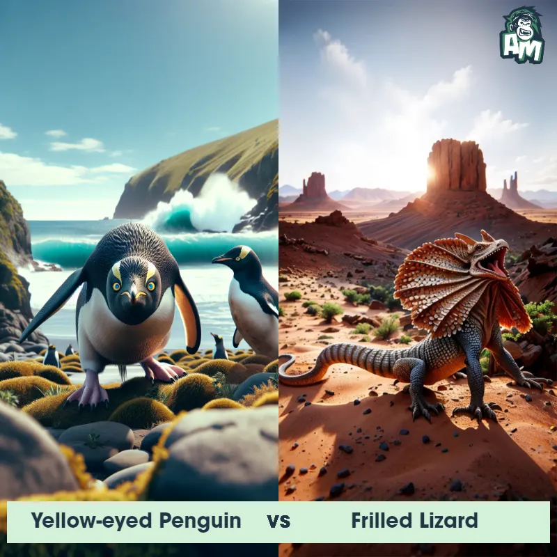 Yellow-Eyed Penguin vs Frilled Lizard - Animal Matchup Yellow-Eyed Penguin vs Frilled Lizard - Animal Matchup